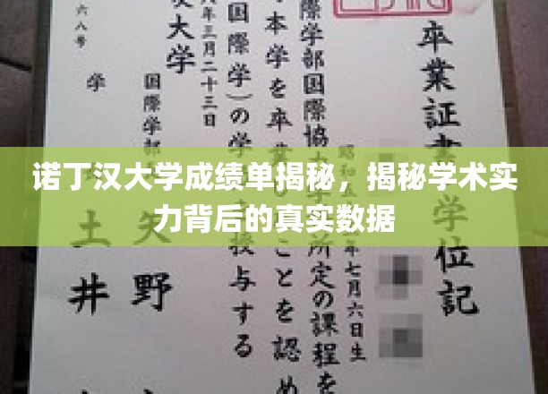 诺丁汉大学成绩单解析，揭示学术实力背后的真实数据
