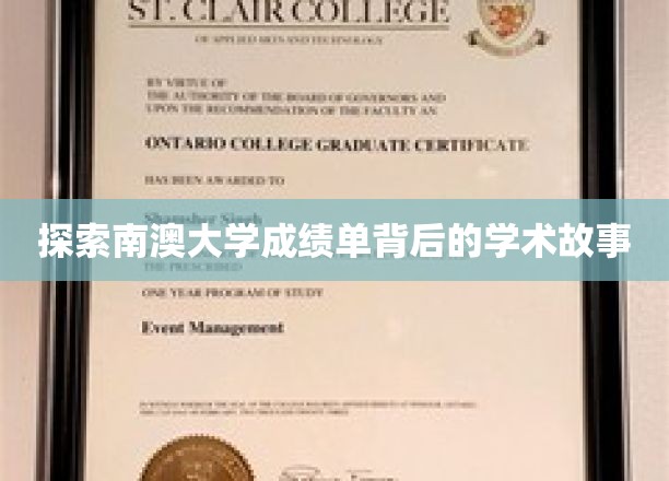 解码南澳大学成绩单，探寻学术成就的精彩篇章