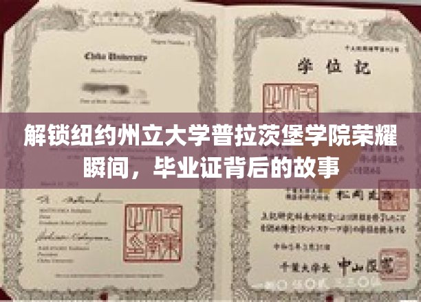 解锁纽约州立大学普拉茨堡学院荣耀瞬间，毕业证背后的故事