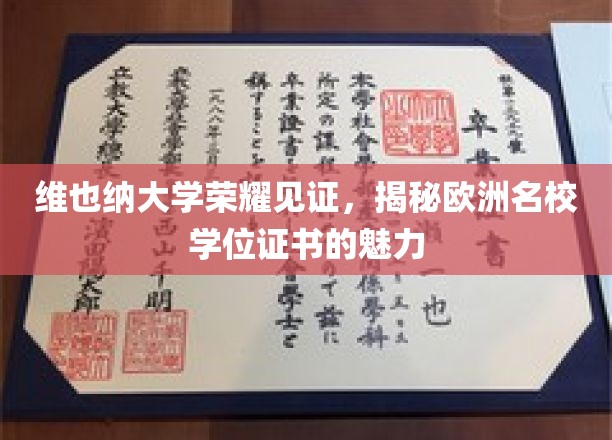 欧洲名校荣耀凭证，维也纳大学学位证书的独到魅力