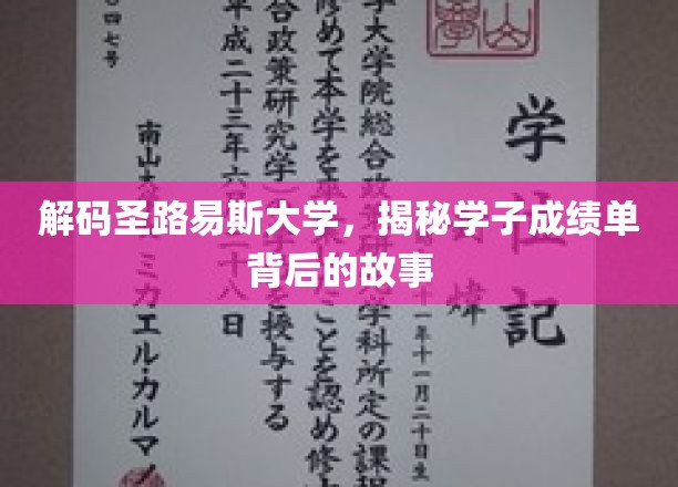 探寻圣路易斯大学学子成绩单背后的成长轨迹