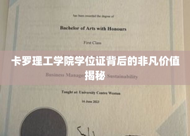 卡罗理工学院学位证，揭开学历背后的隐藏宝藏