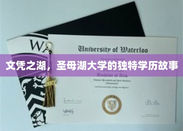学历秘境，圣母湖大学文凭的神秘之旅