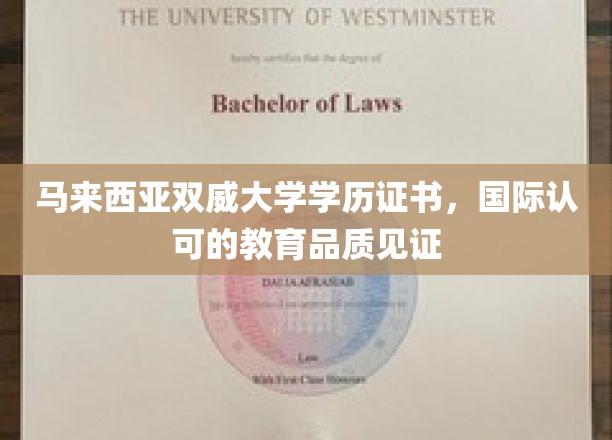 马来西亚双威大学，国际通行证下的卓越教育风采