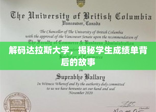 达拉斯大学成绩单里的秘密，探索学生成长的足迹