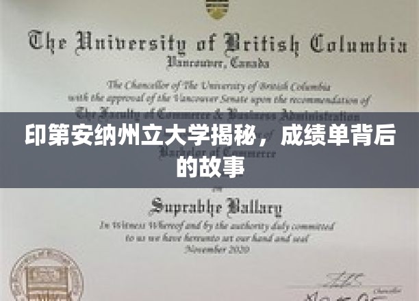 探寻印第安纳州立大学，揭开成绩单背后的多元篇章
