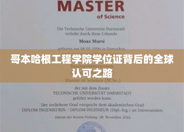 解码哥本哈根工程学院，全球通行证的诞生之旅