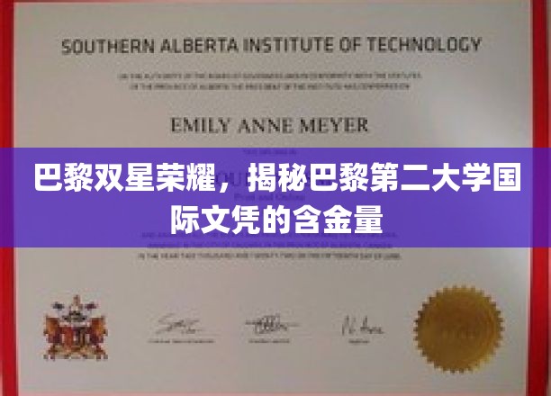 探寻巴黎双星璀璨，揭秘巴黎第二大学国际文凭的非凡价值