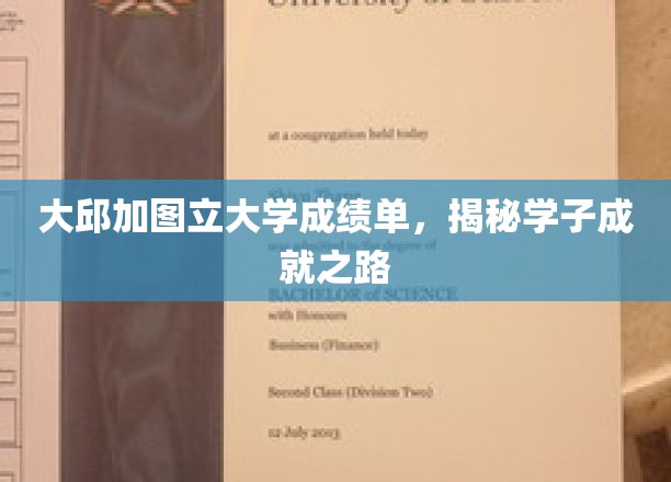 大邱加图立大学成绩单，揭秘学子成就之路