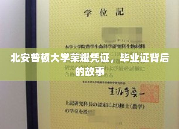 北安普顿荣耀启航，毕业证书中的校园传奇揭秘