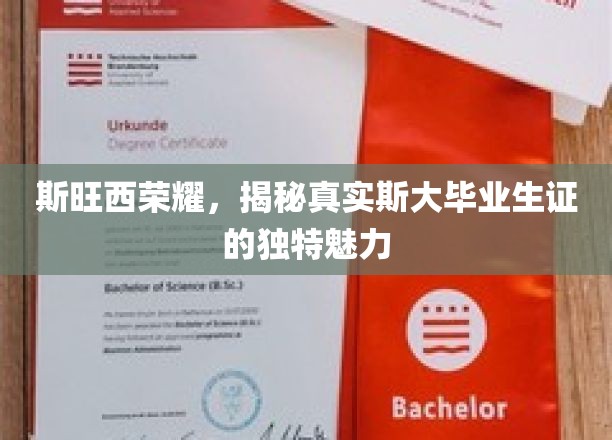 斯大荣耀证，斯旺西毕业生证的非凡吸引力探秘