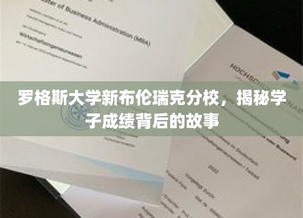 罗格斯大学新布伦瑞克分校，揭秘学子成绩背后的故事