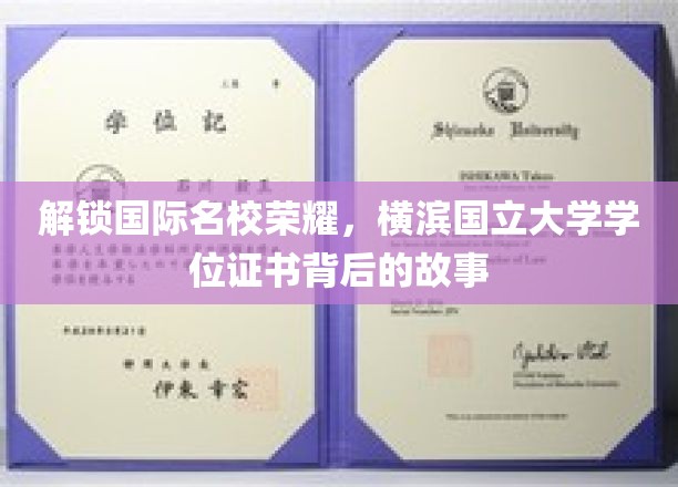 揭开横滨国立大学荣耀学位的神秘面纱