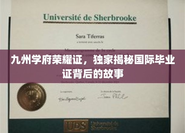 九州学府荣耀证，独家揭秘国际毕业证背后的故事