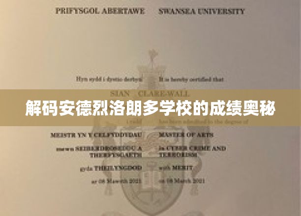 解码安德烈洛朗多学校的成绩奥秘
