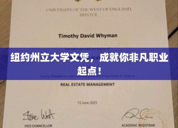 纽约州立大学学位，铺就璀璨职业征途的黄金基石
