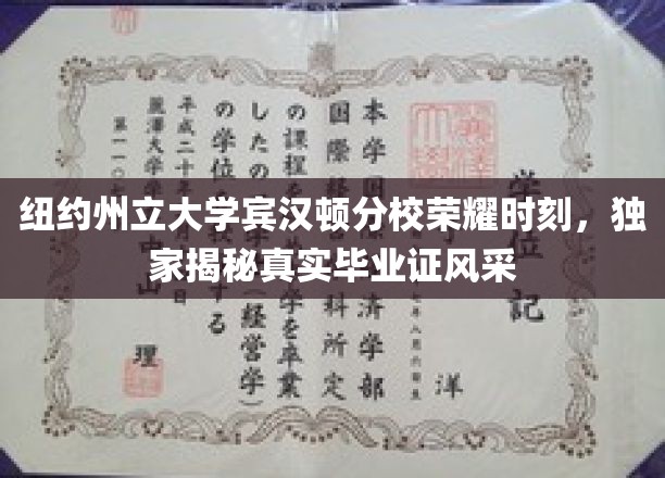 纽约州立大学宾汉顿分校，毕业证风采独家大揭秘，荣耀时刻一睹为快