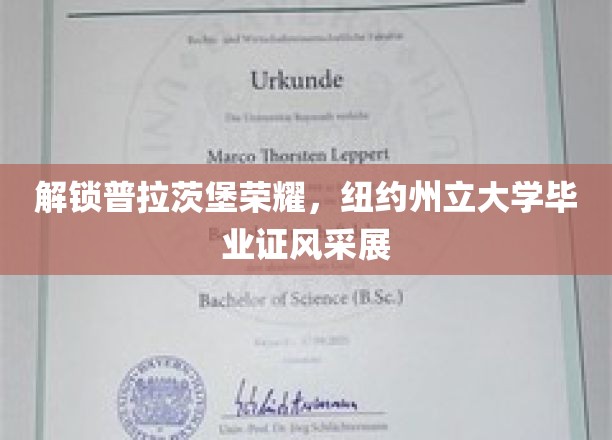 解锁普拉茨堡荣耀，纽约州立大学毕业证风采展
