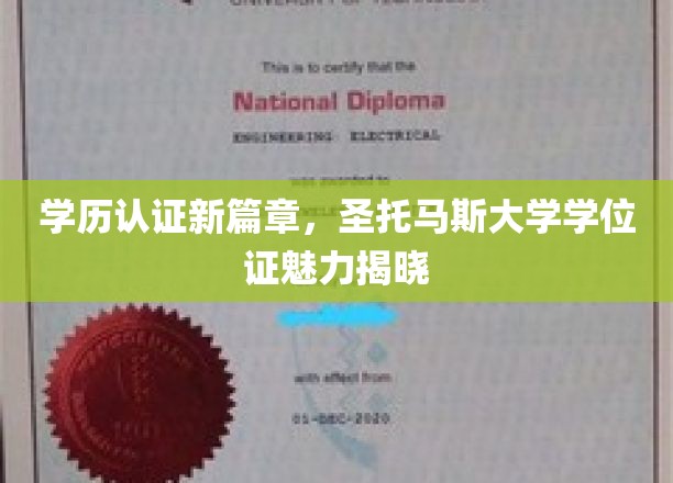 圣托马斯大学学位证魅力，开启学历认证新时代