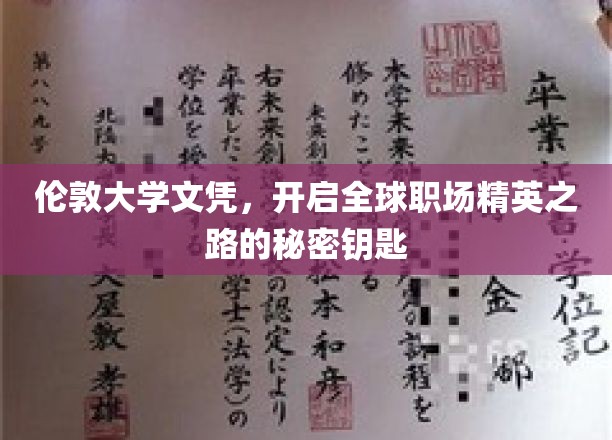伦敦大学文凭，开启全球职场精英之路的秘密钥匙