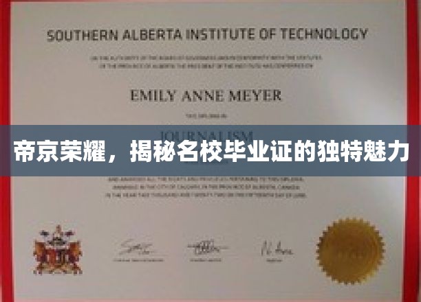 名校荣耀凭证，帝京精英毕业证的神秘吸引力