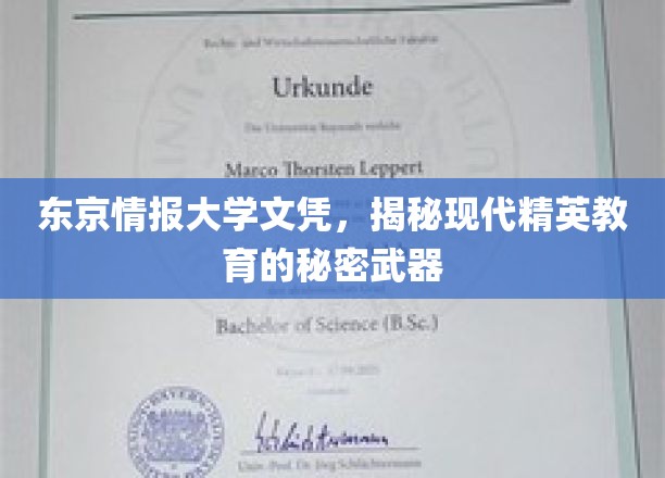 东京情报大学，揭秘精英学子背后的神秘学位