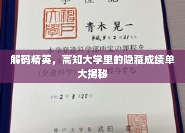 揭秘高知校园，大学精英们的非凡成绩背后