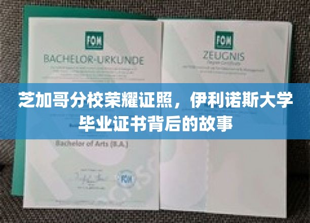 伊利诺斯荣耀，芝加哥分校毕业证书的传奇溯源