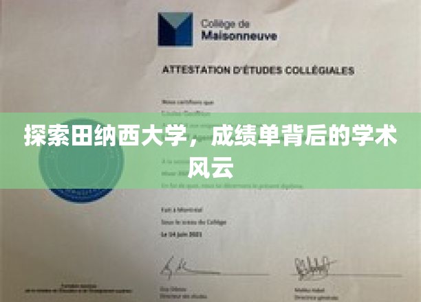 田纳西大学揭秘，成绩单背后隐藏的学术传奇