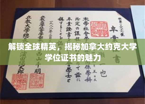 解锁全球精英，一探加拿大约克大学学位证书的非凡魅力