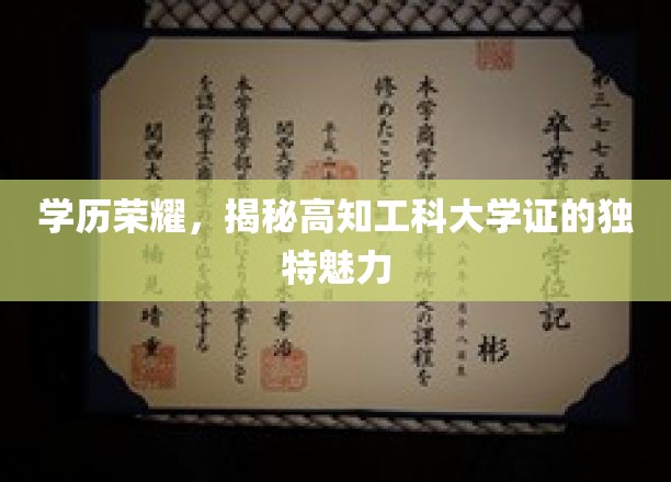 解码高知工程师梦，大学证背后的非凡吸引力