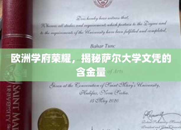 欧洲教育瑰宝，萨尔大学学位的非凡价值揭秘