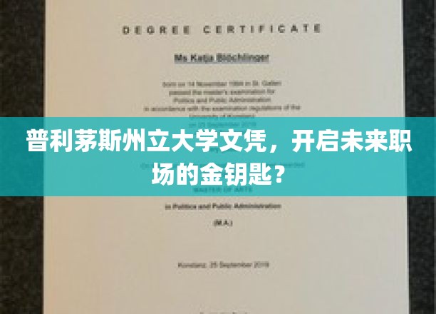 解锁职场新篇章，普利茅斯州立大学文凭的潜力解析