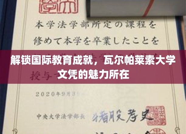 瓦尔帕莱索大学文凭，国际教育成就的秘密钥匙