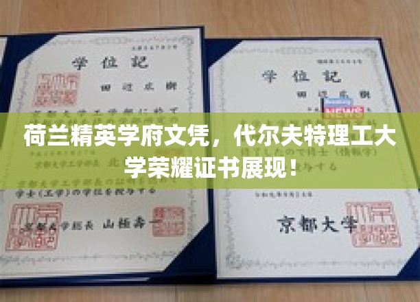 荷兰精英学府文凭，代尔夫特理工大学荣耀证书展现！
