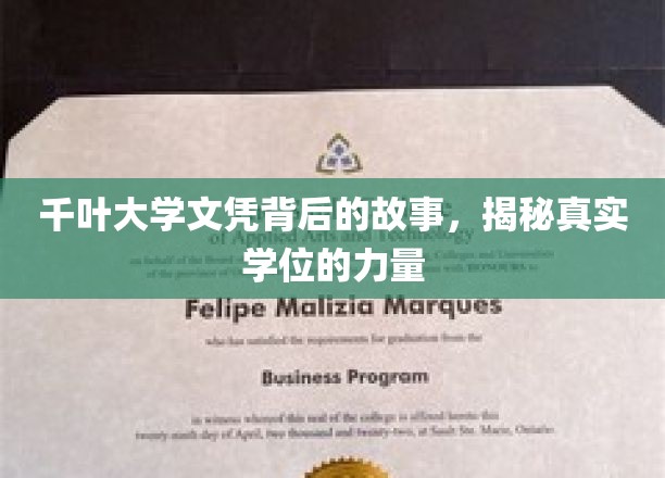 千叶大学文凭背后的故事，揭秘真实学位的力量