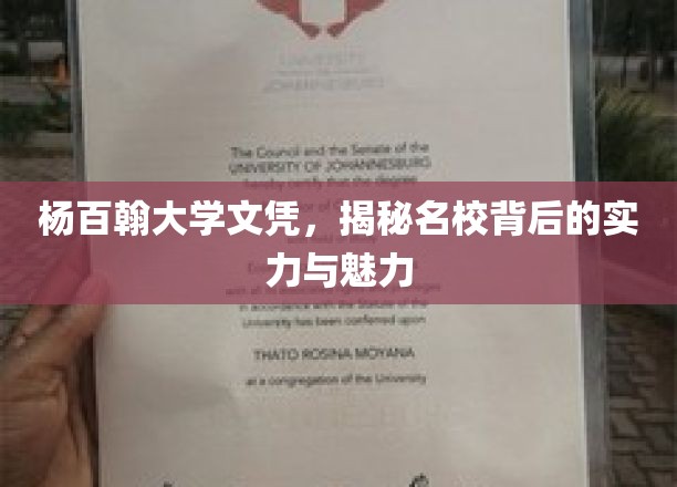 杨百翰大学荣耀背后，探究顶尖名校的实力与独特风采