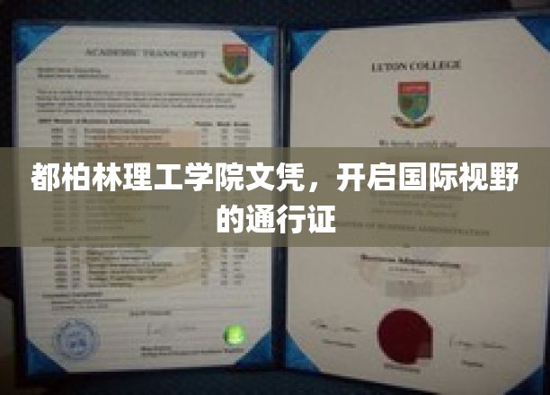 跨国学历之钥，都柏林理工学院文凭，拓展全球视野的桥梁