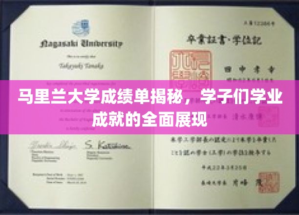 马里兰大学学子风采，深度解析成绩单背后的学业奇迹