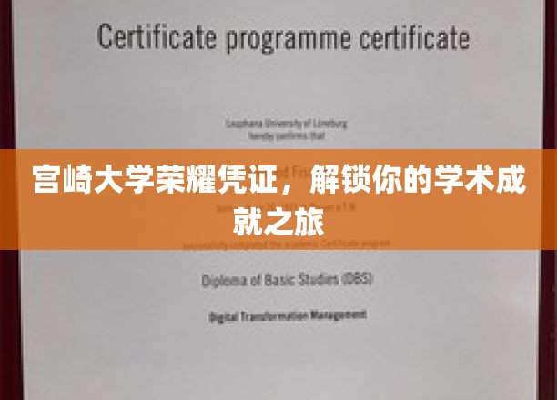 宫崎大学荣耀证书，开启你的学术辉煌之门