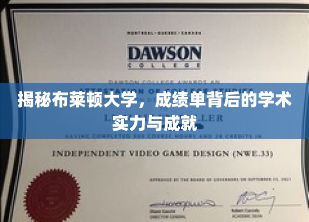 探寻布莱顿大学，揭开学术光环背后的实力与荣耀