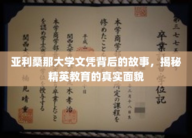 凤凰涅槃，亚利桑那大学文凭背后的精英教育传奇