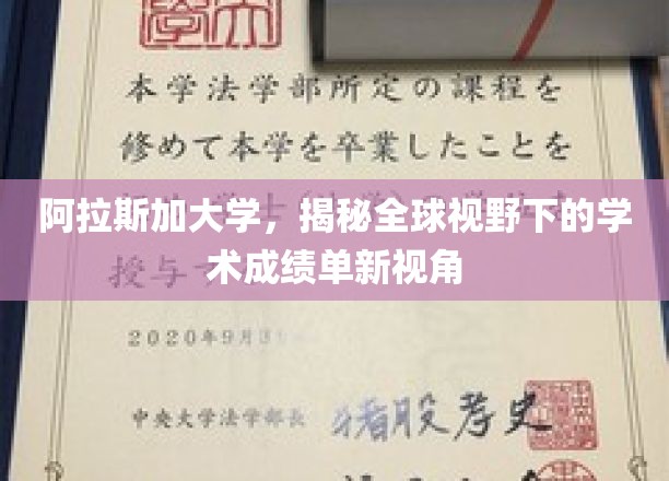 探索阿拉斯加视角，全球视野中的学术成绩单革新解读
