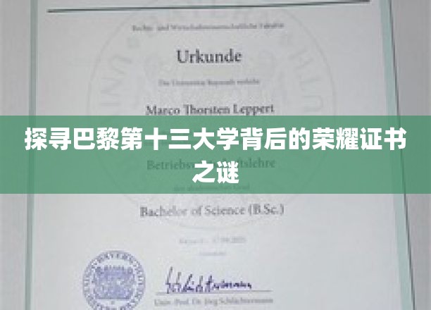 巴黎十三大学荣耀证书，揭开百年学府的神秘面纱