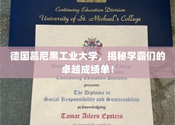 德国慕尼黑工业大学，揭秘学霸们的卓越成绩单！
