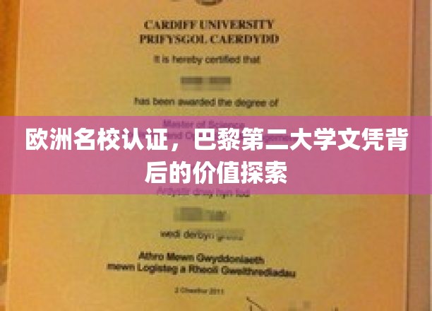 解码巴黎第二大学，欧洲名校认证文凭的价值与魅力