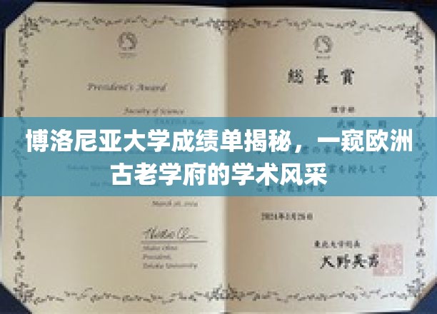 博洛尼亚大学成绩单揭秘，一窥欧洲古老学府的学术风采