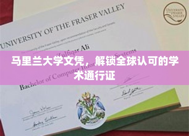 马里兰大学文凭，开启国际学术舞台的钥匙