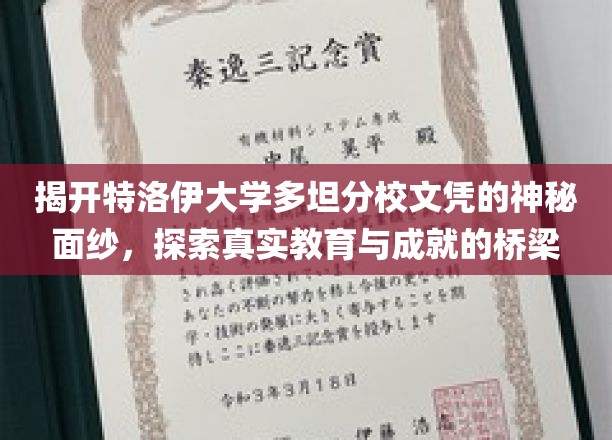 揭秘特洛伊大学多坦分校，探寻学历背后的真实教育力量