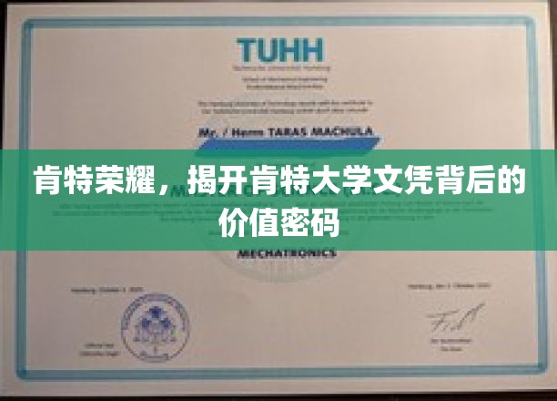 肯特荣耀，揭开肯特大学文凭背后的价值密码
